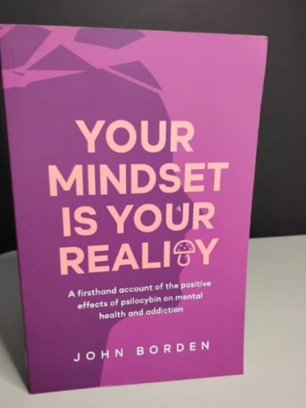Your Mindset is Your Reality: The positive effects of psilocybin